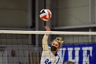 Women’s VB intersquad  Women’s Volleyball inter-squad match. : Women’s Volleyball, VB, inter squad, intersquad